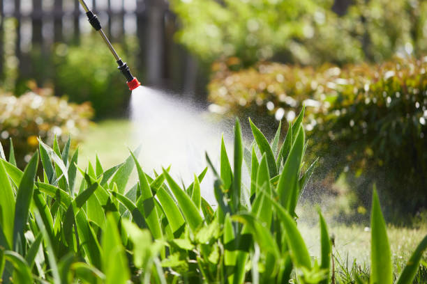 24/7 Emergency Mosquito Control experts in La Grange Park, IL