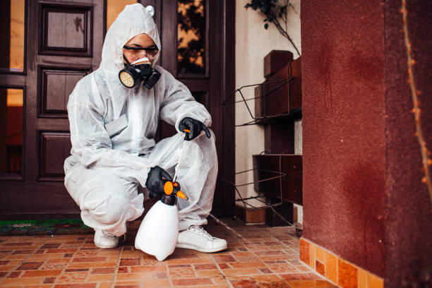 Reliable Mosquito Control contractor in La Grange Park, IL by Show Me Pest Control